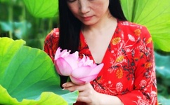 化绍新钓鱼视频